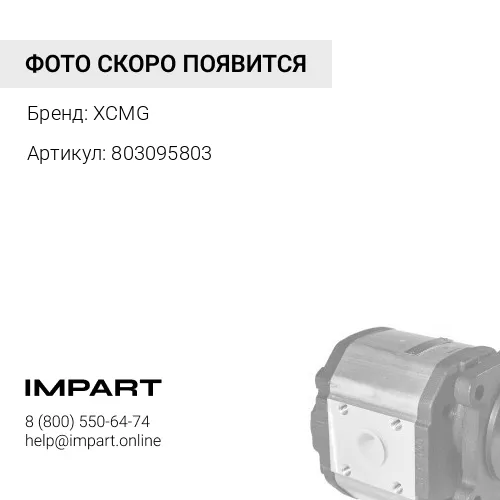 803095803 Тандемный шестеренчатый насос XCMG