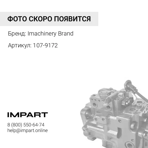 107-9172 Поршень 107-9172 Imachinery Brand