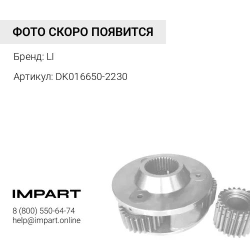 DK016650-2230 Подшипник LI