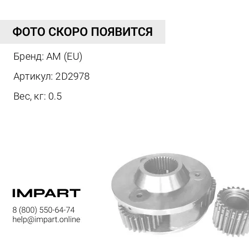 2D2978 Крестовина AM (EU)