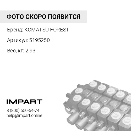 5195250 ЦИЛИНДР ГИДРАВЛИЧЕСКИЙ