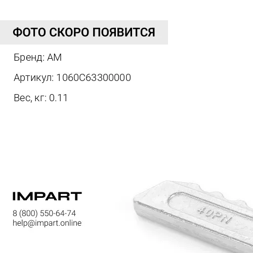 1060C63300000 Шайба