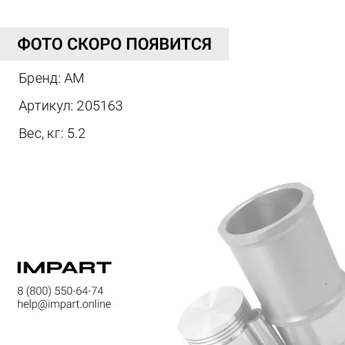 205163 Вкладыш коренной KTA19 [0.75] (к-т на двигатель) 205163 AM