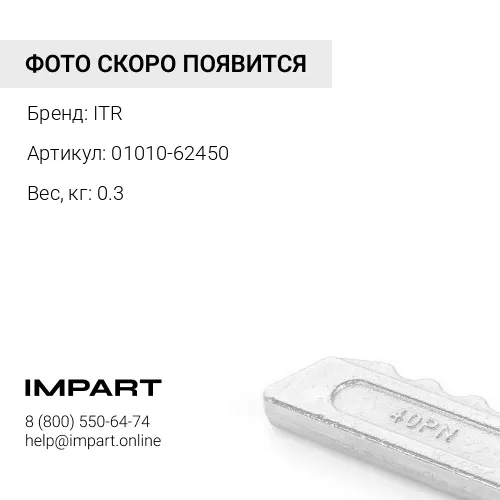 01010-62450 Болт ITR