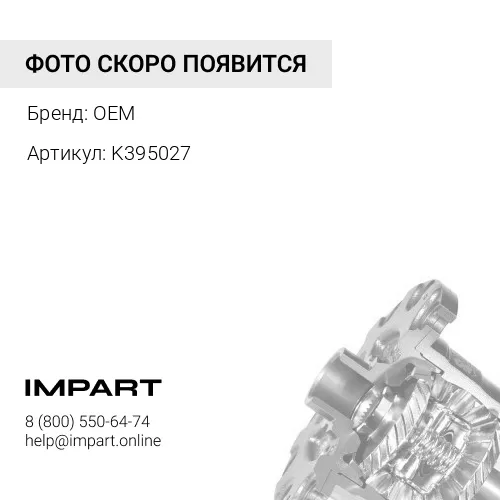 K395027 Подшипник дифференциала OEM