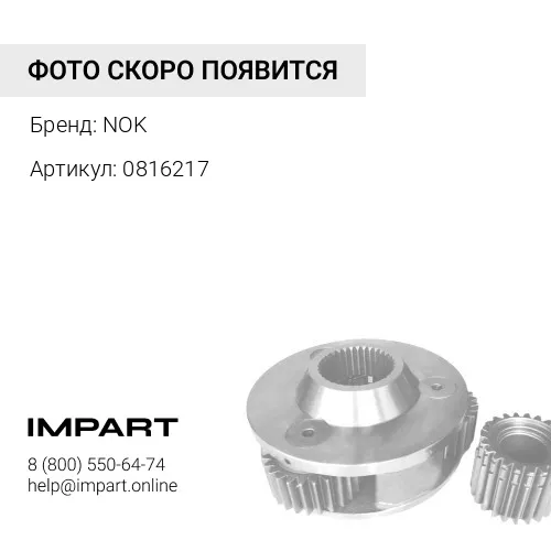 0816217 Ремкомплект гидромотора поворота NOK