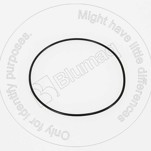 0995874 OR УПЛОТНИТЕЛЬНОЕ КОЛЬЦО