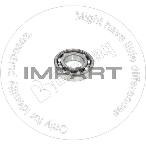 0603006207 Подшипник 8H9789