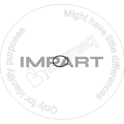 4J0525 О-кольцо